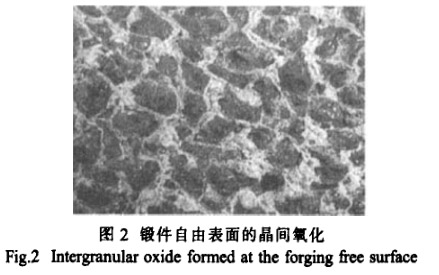 鍛件自由表面的晶間氧化 鍛件自由表面的晶間氧化
