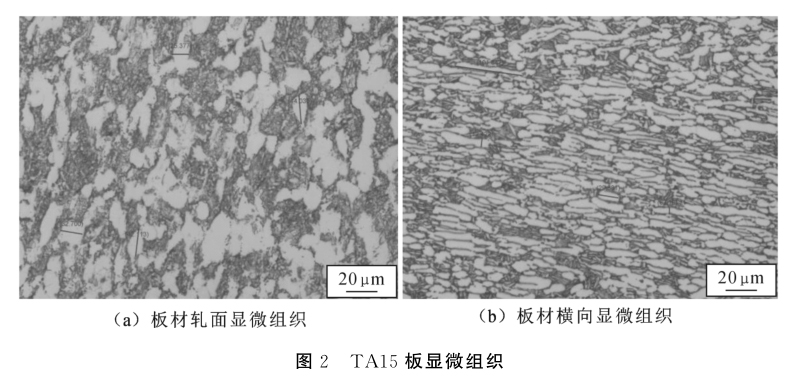 1635581603606633.jpg 2.jpg