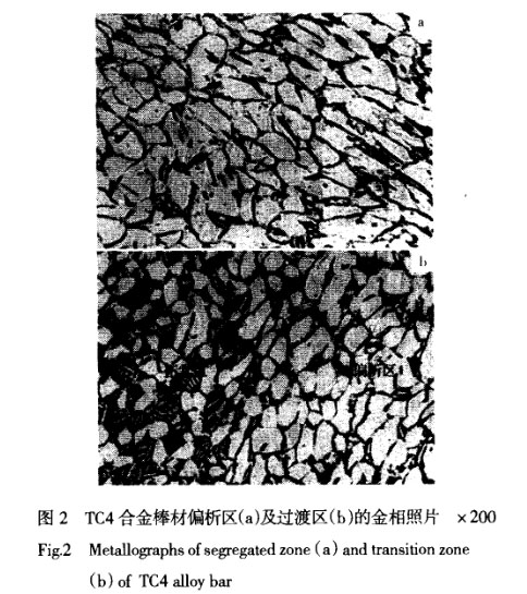 1636728255810027.jpg t2.jpg