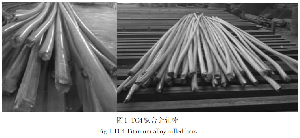 1676085559858329.jpg t1.jpg