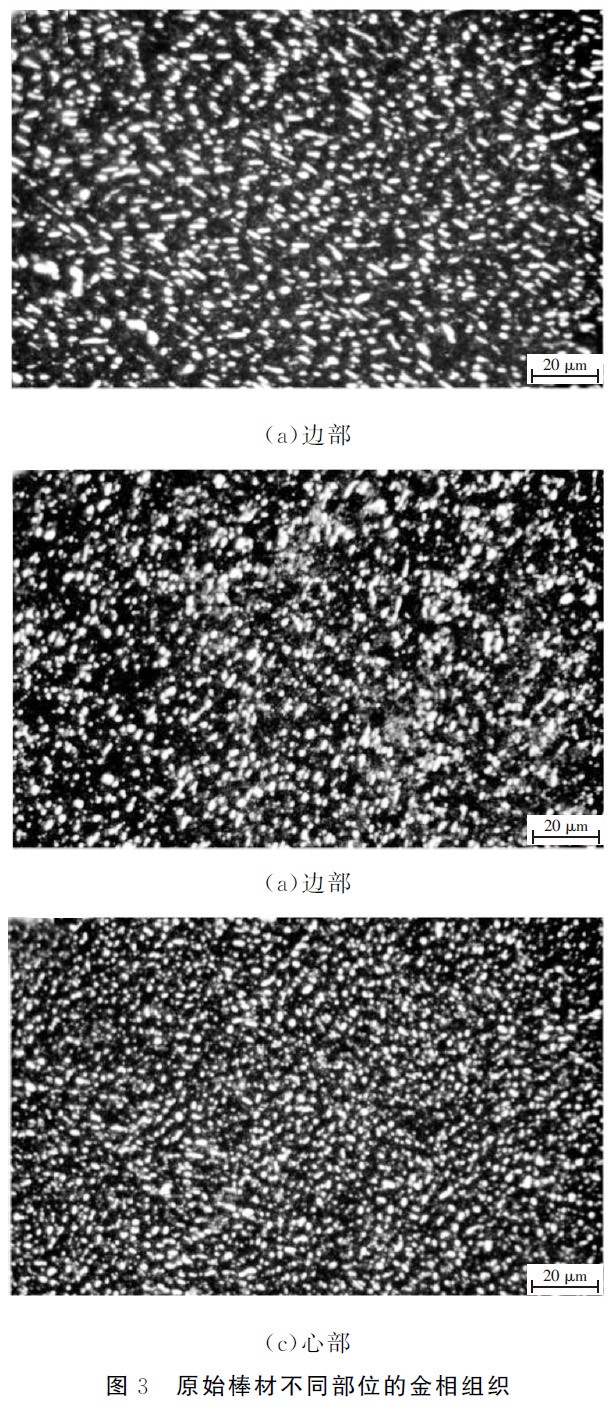 1677486391889167.jpg t3.jpg