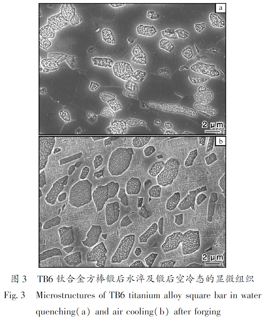 1683452462920732.jpg t3.jpg