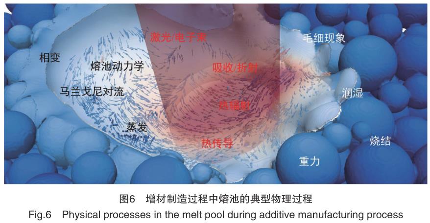 1692437093675586.jpg t6.jpg