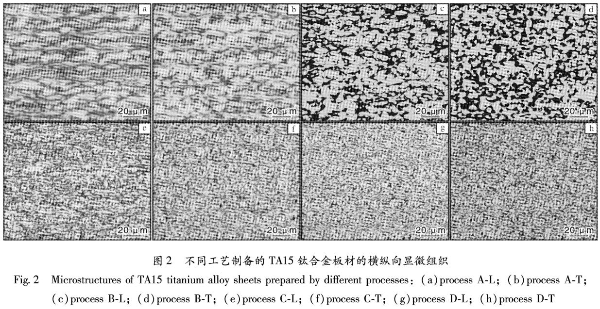 1699713578129288.jpg t2.jpg