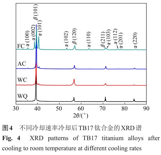 1701442198320486.jpg t4.jpg
