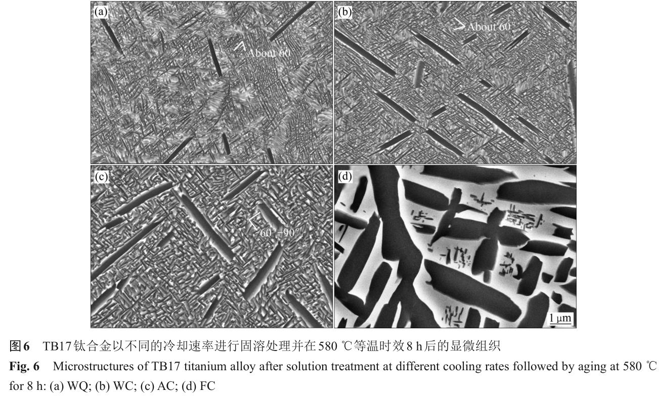 1701442247653171.jpg t6.jpg