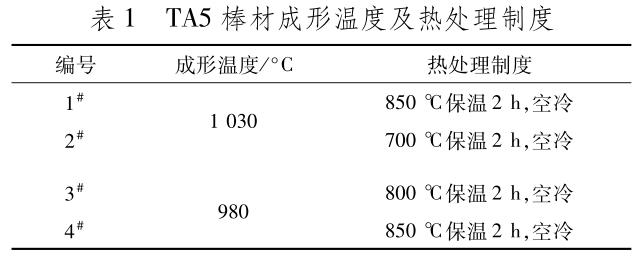 1705745126197528.jpg b1.jpg