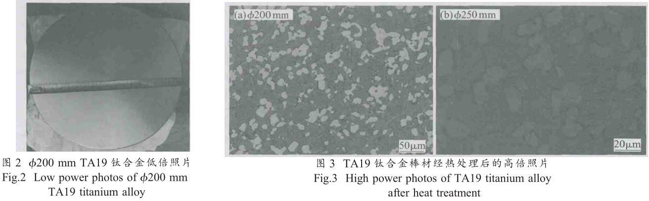 1705759947878260.jpg t2-3.jpg