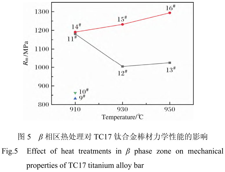 1719969482771988.jpg 5.jpg