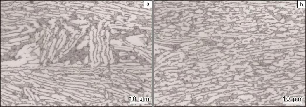 1719972354510708.jpg 1.jpg