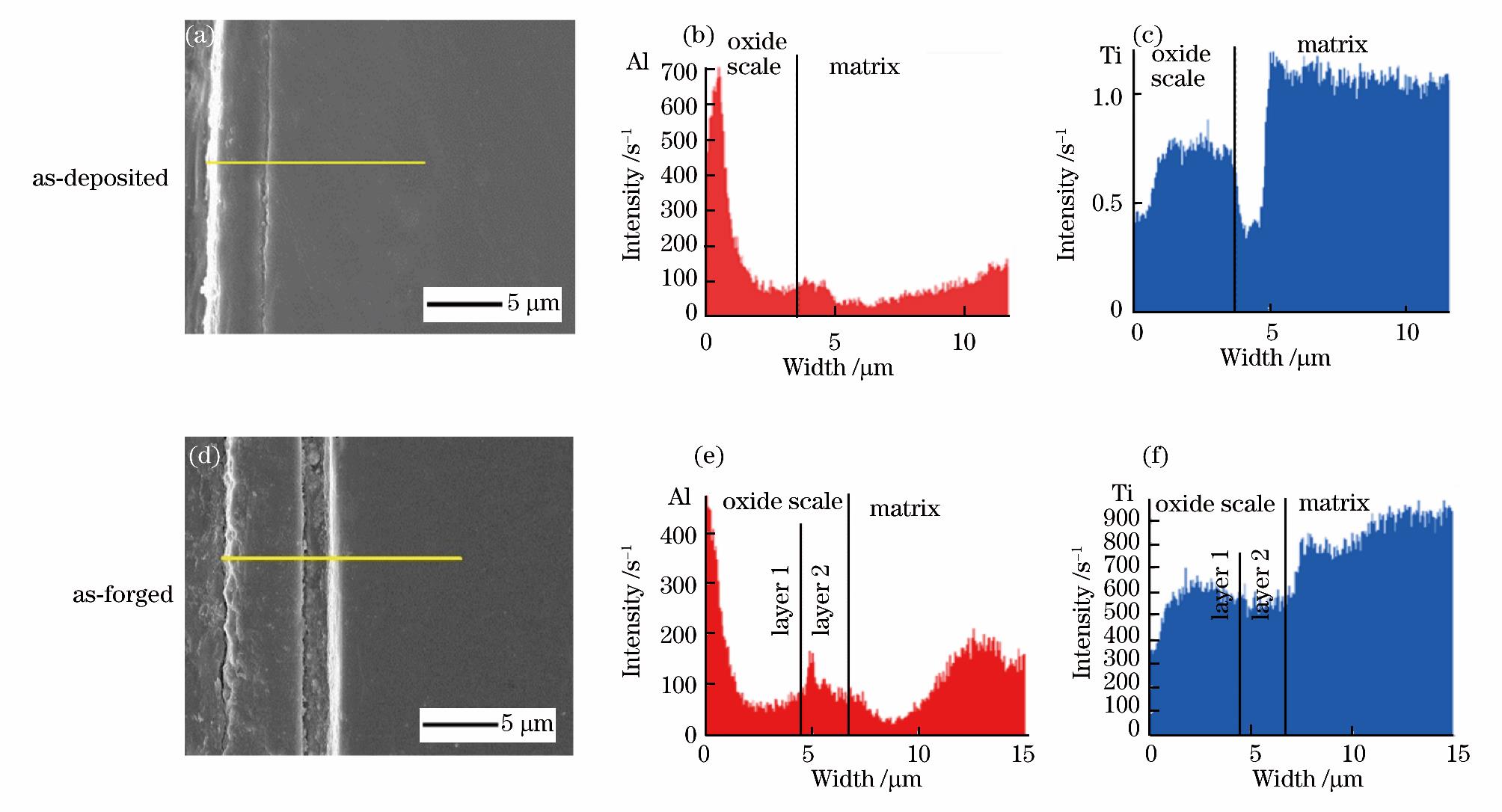 1720148394163001.jpg 8.jpg