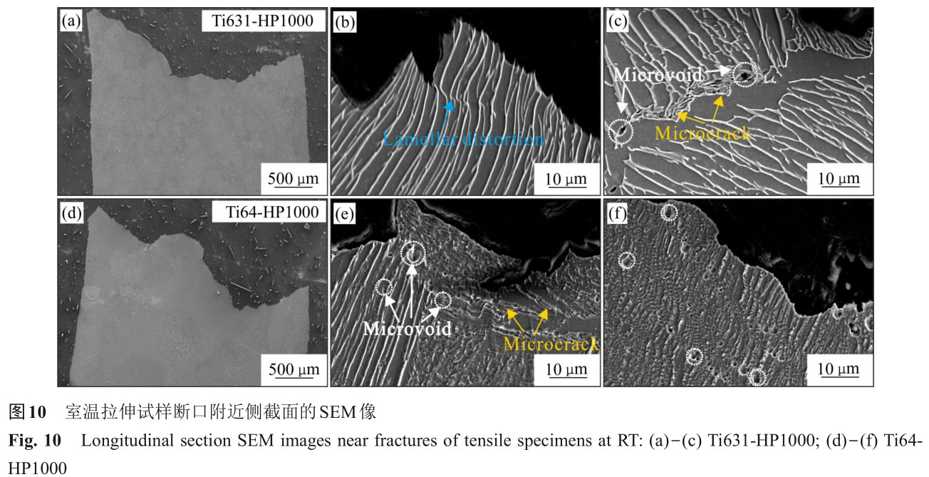 1723726830730243.jpg t10.jpg