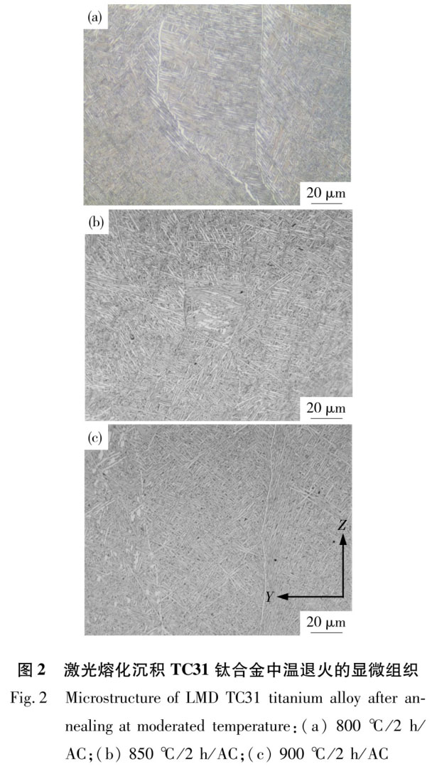 1723799170743728.jpg t2.jpg