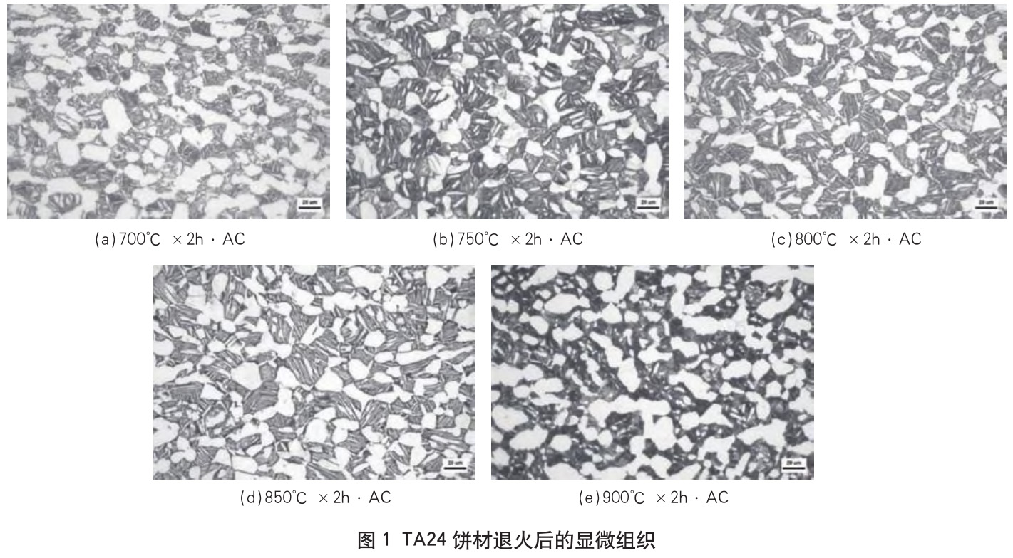 1727313998225256.jpg 1.jpg