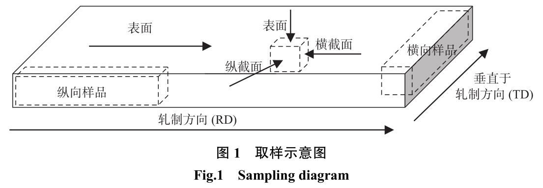 1728638424547577.jpg t1.jpg