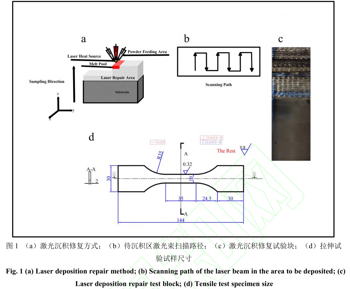 1729343010206006.jpg 1.jpg