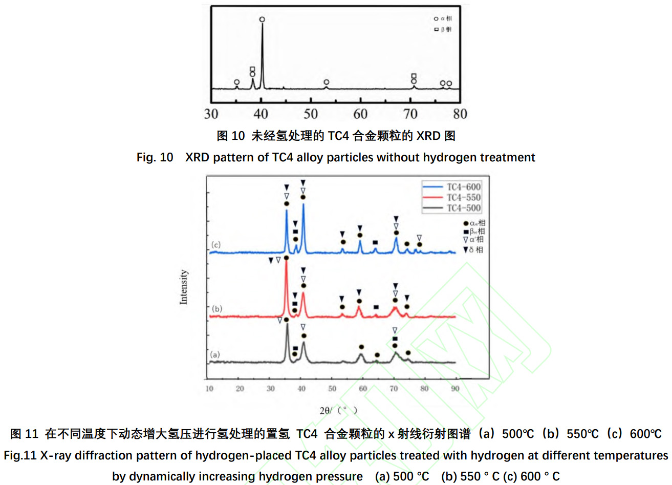 1734250690770134.jpg 10-11.jpg