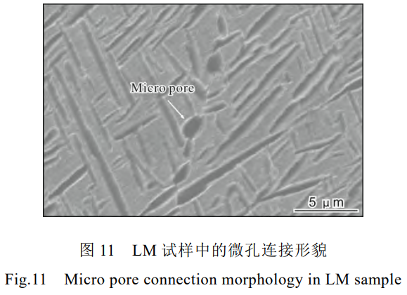 1736067032890343.png 11.png