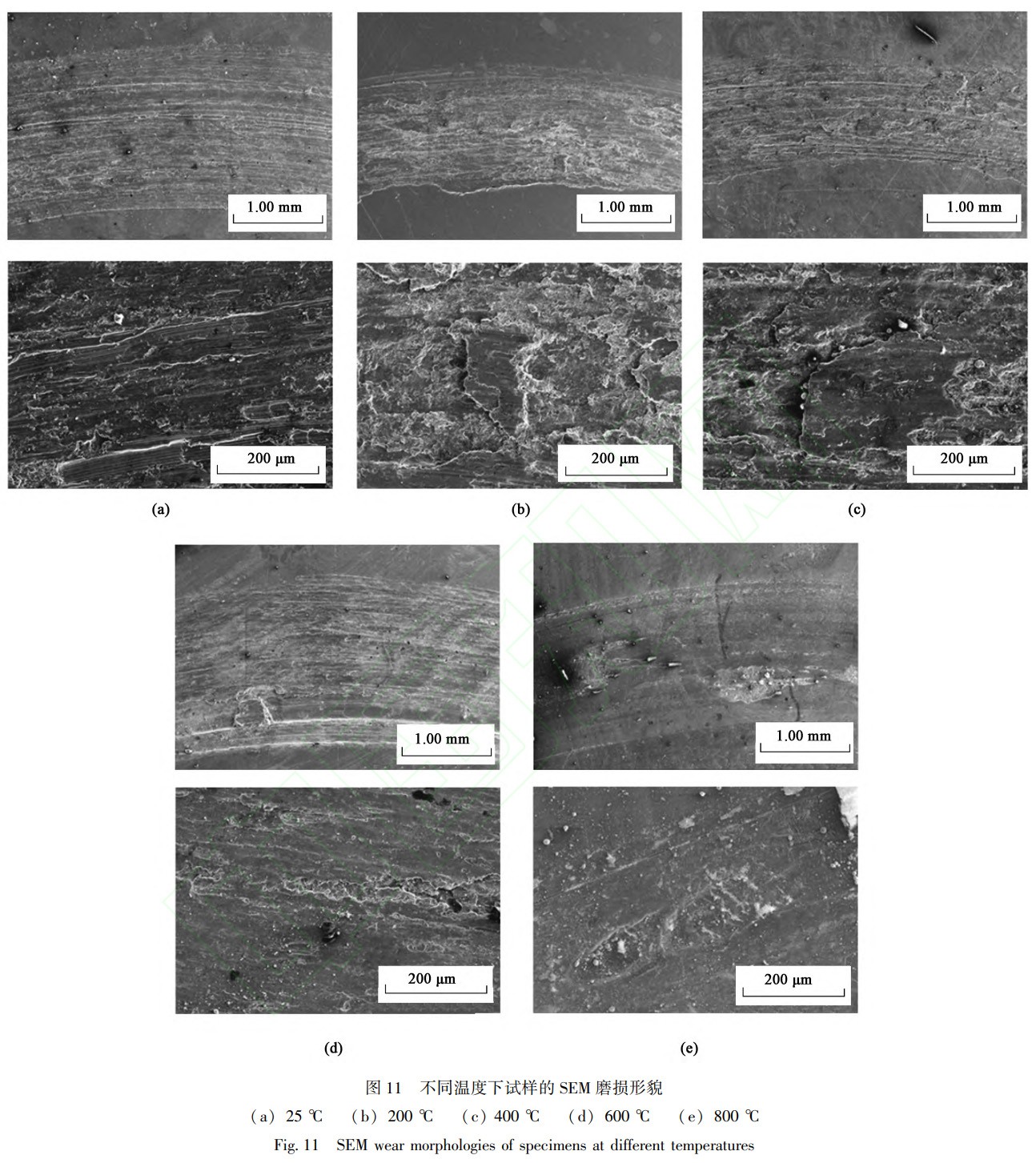 1739626548289387.jpg 11.jpg