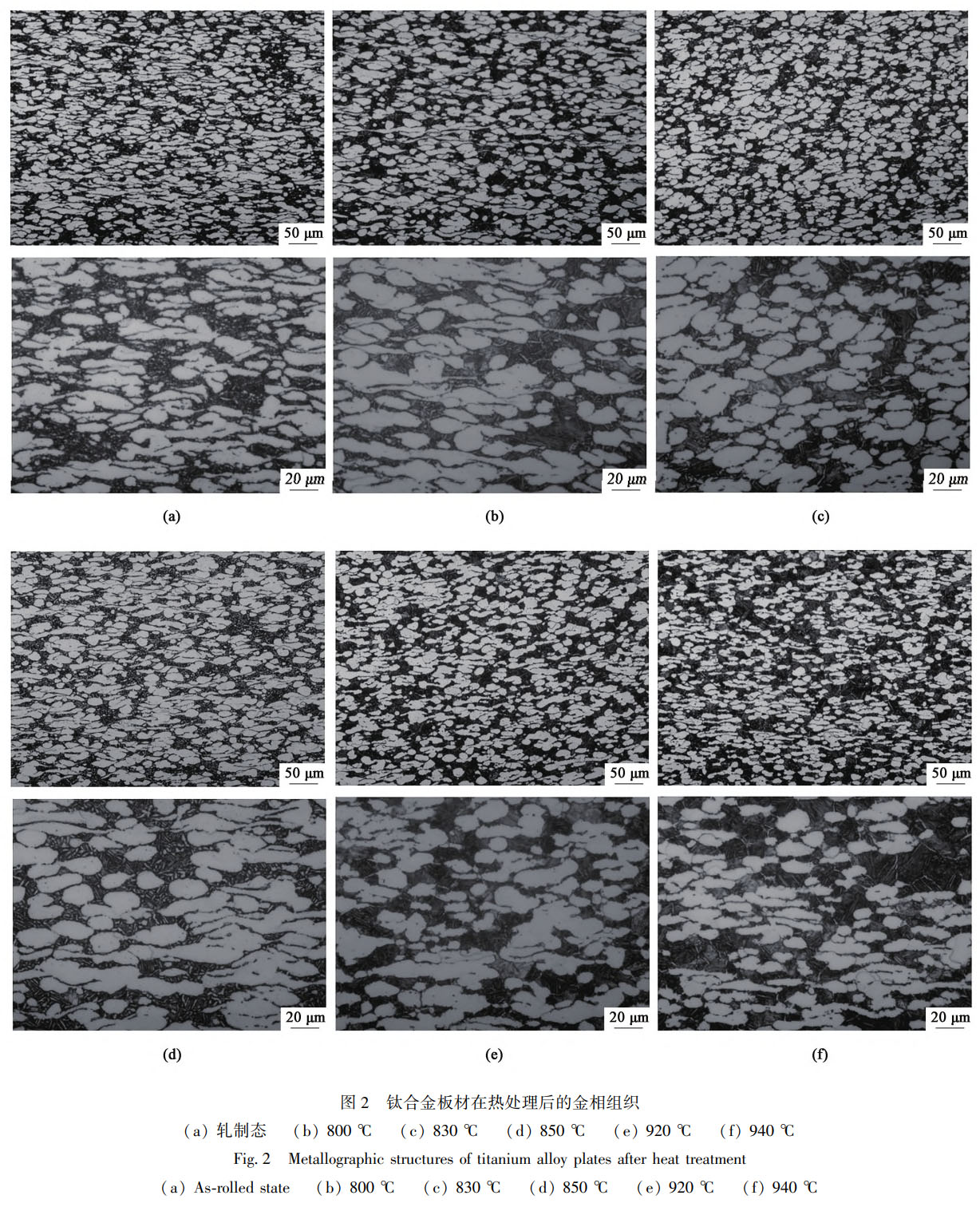 1757474626920668.jpg 未標題-1.jpg