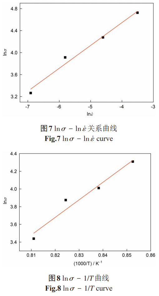 1765683453242917.jpg 8.jpg