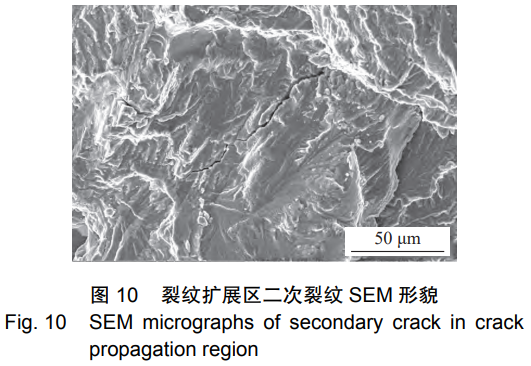 1766307456972850.png 10.png