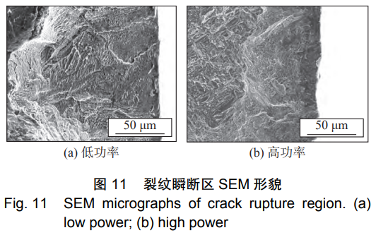 1766307465881287.png 11.png