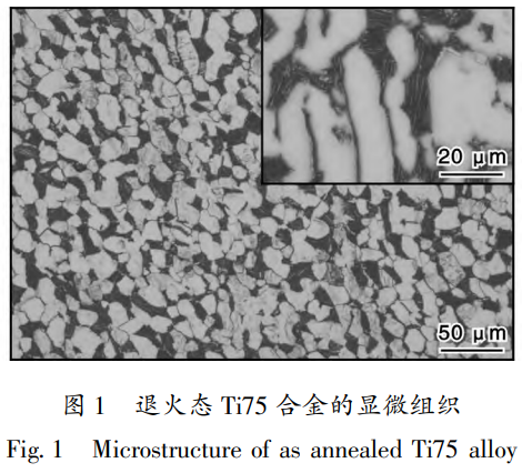 1766824638896969.png 截圖20251227163417.png