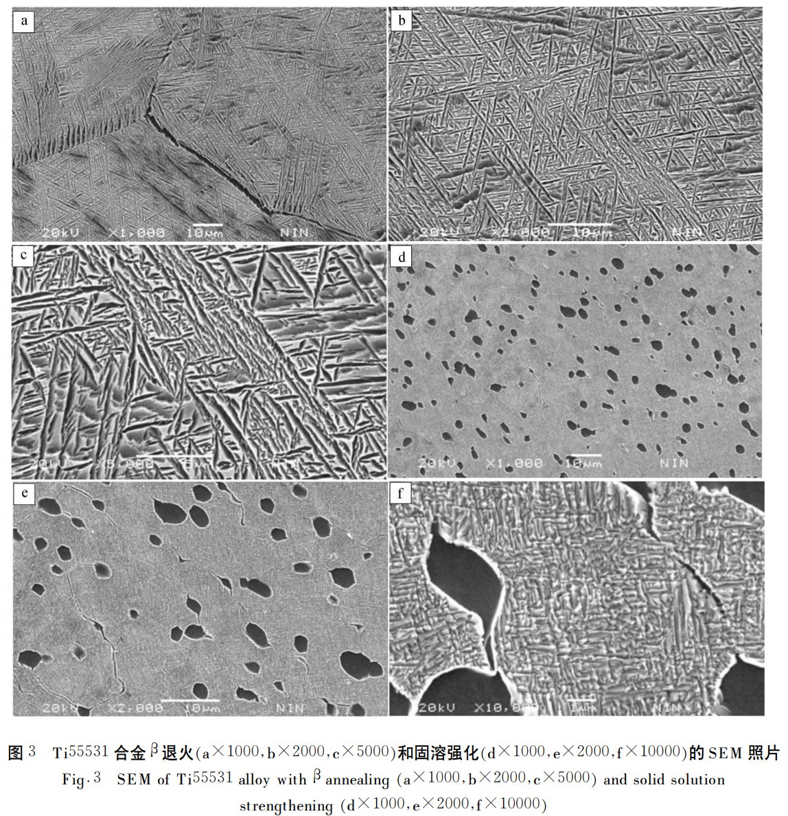 1768877373459842.jpg 3.jpg