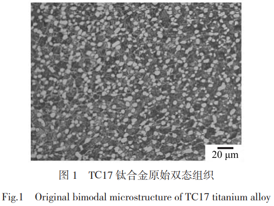 1768881120409828.png 1.png