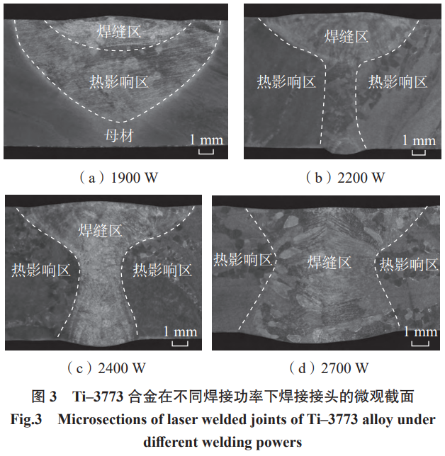 1772009365543137.png 3.png