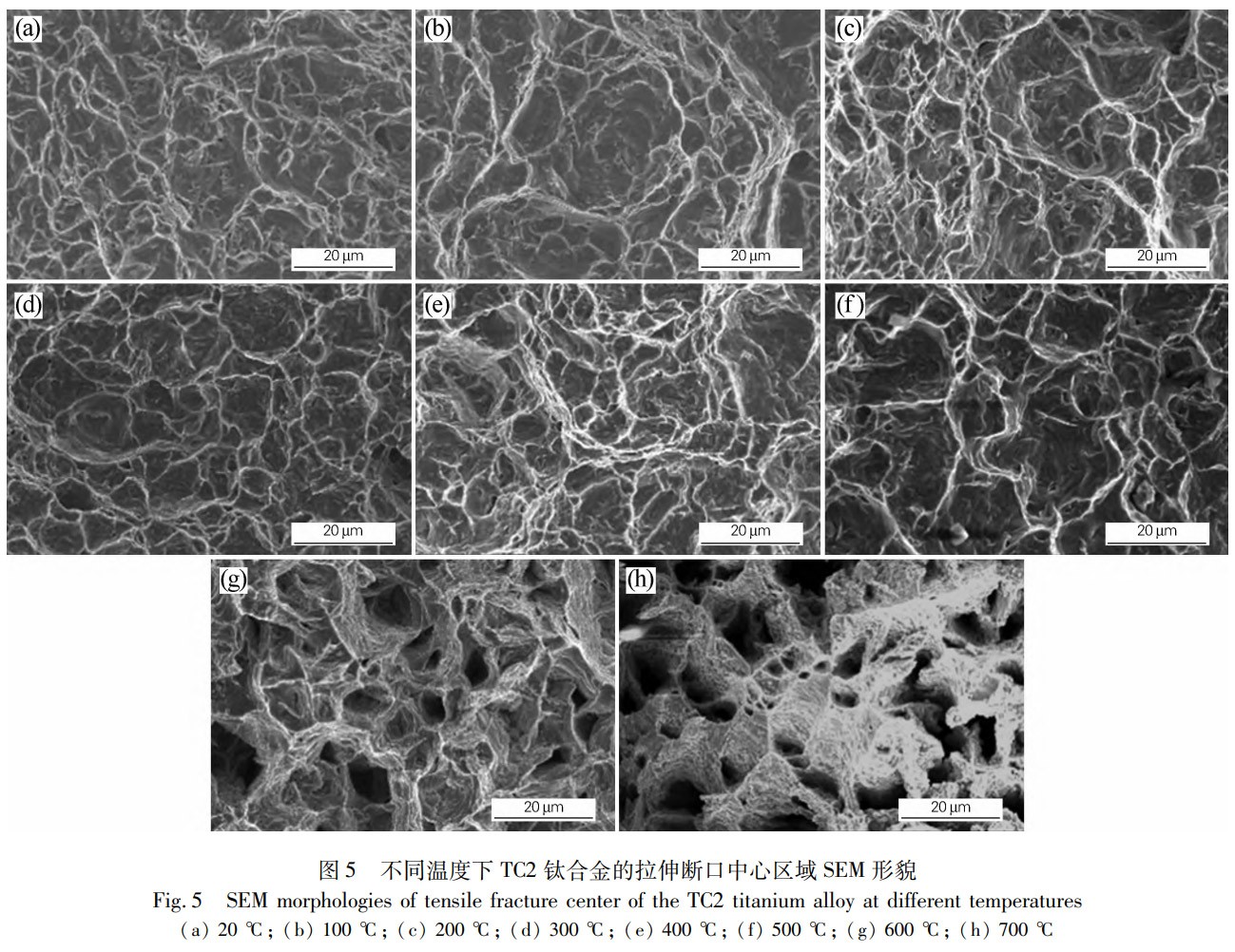 1772013523123455.jpg 5.jpg