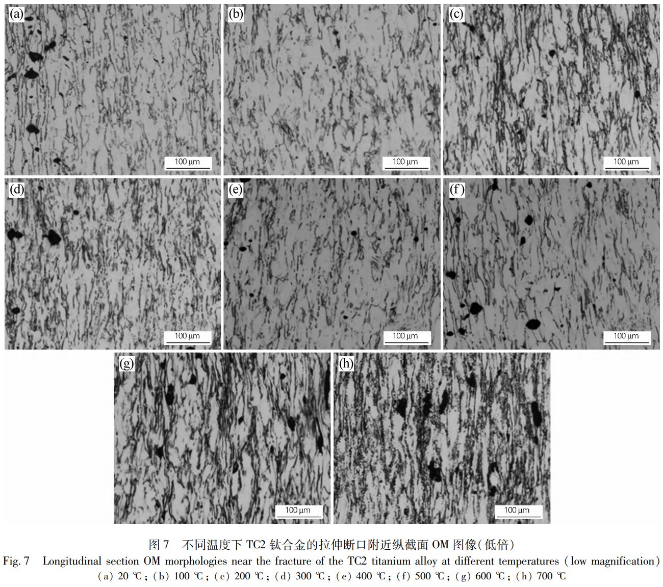 1772013541976731.jpg 7.jpg