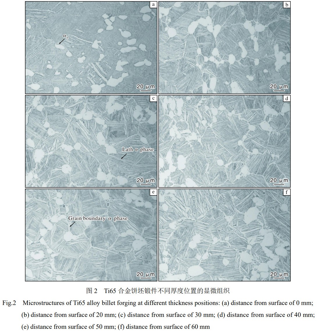 1773199660414751.jpg 2.jpg