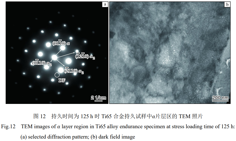 1773199790413668.png 12.png