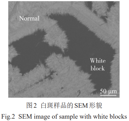 1773307398650889.png 2.png