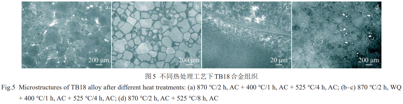 1773307439540938.png 5.png