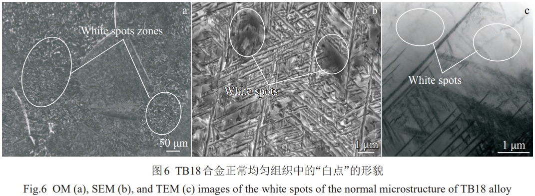 1773307451214365.png 6.png