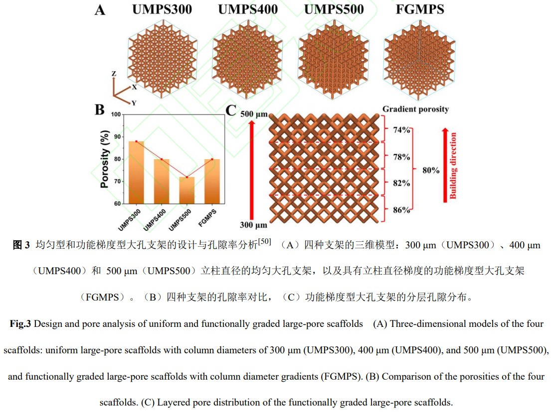 1773315613787031.jpg 3.jpg