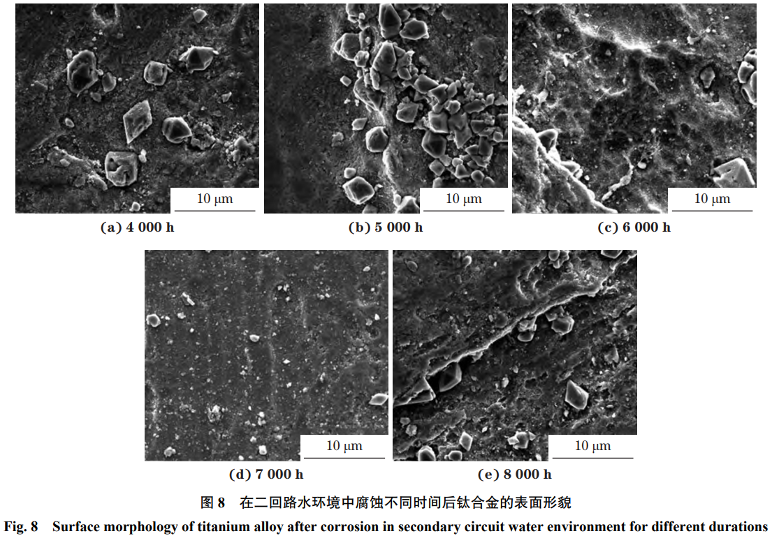 1775615083731106.png 截圖20260408100706.png