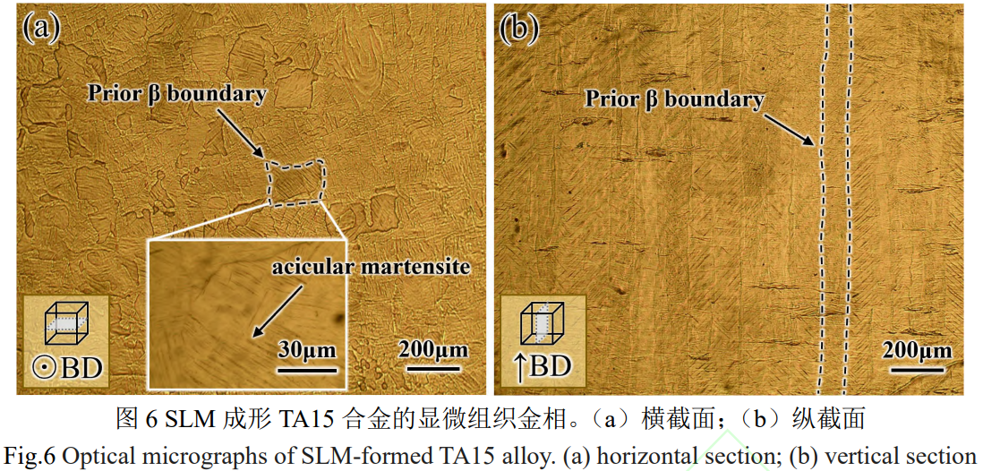 1775619219620521.png 6.png