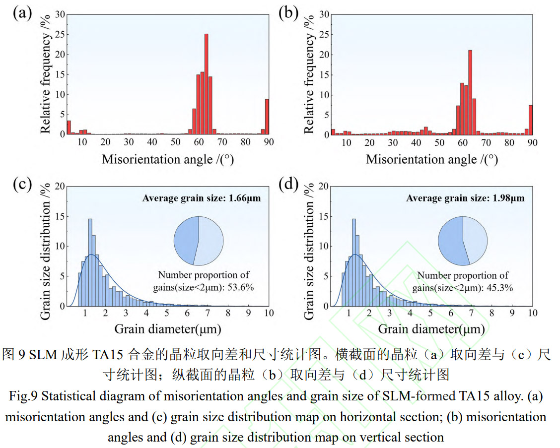1775619249793272.jpg 9.jpg