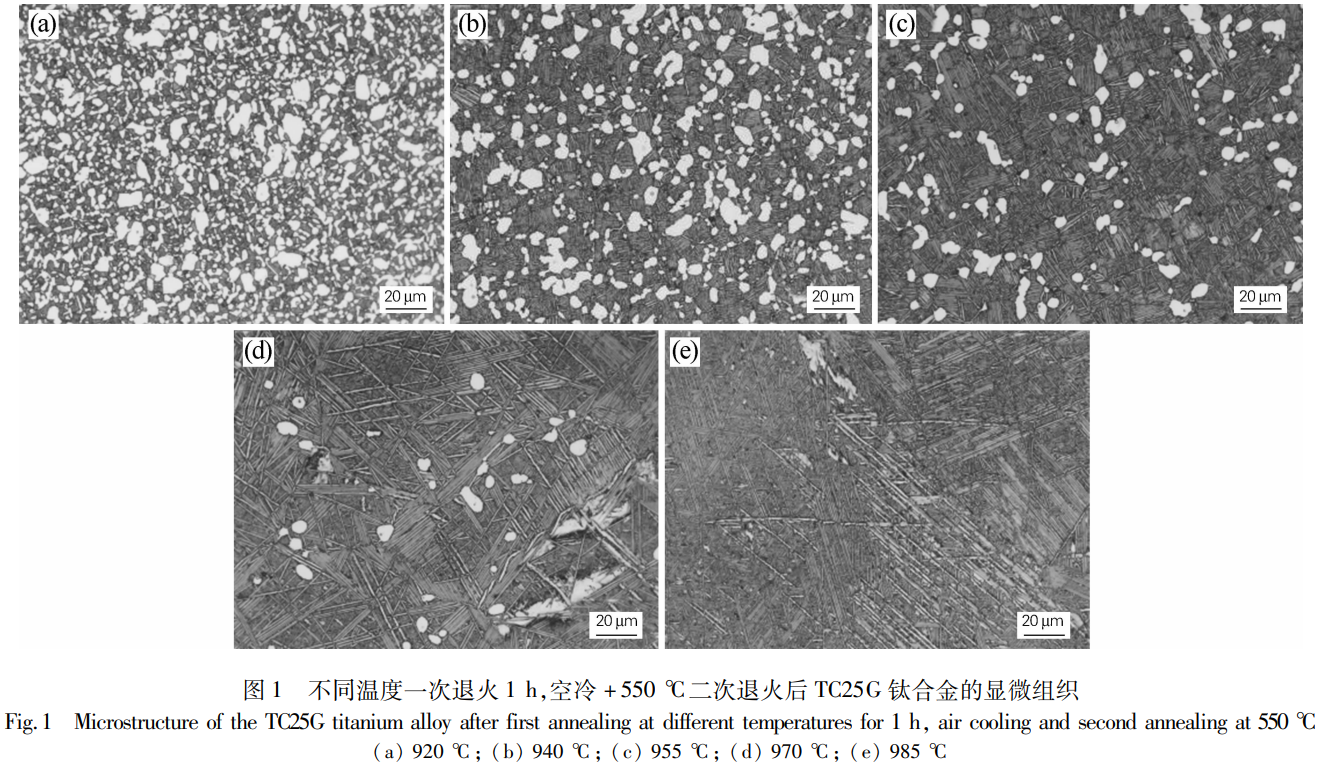 1776041789965779.png 1.png