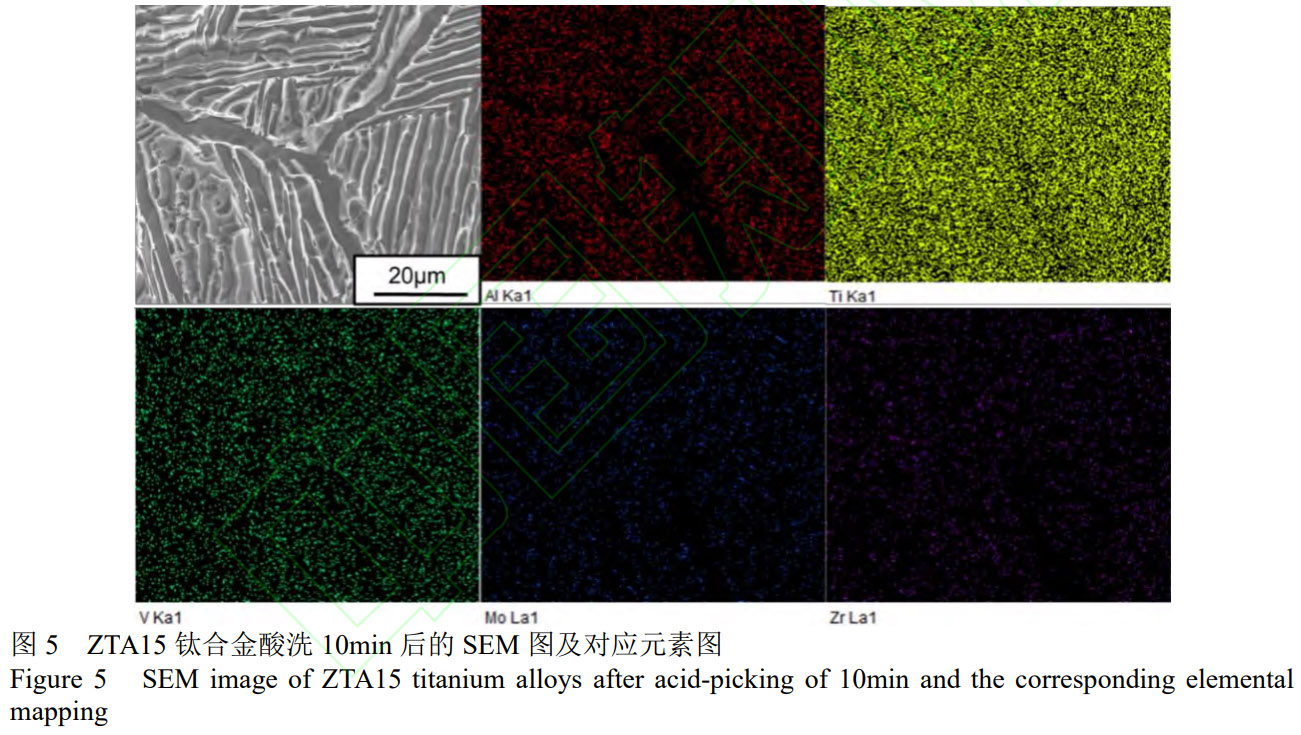 1776043472944903.jpg 5.jpg